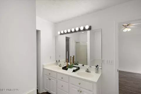 Bath - 204 Cherry Bark Dr, Brandon, MS 39047 photo 1 of 3