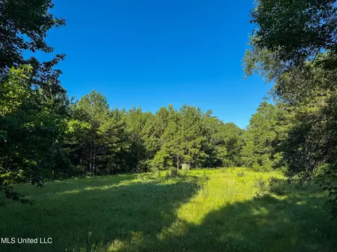 275 J M Burge Rd, Hattiesburg, MS 39402