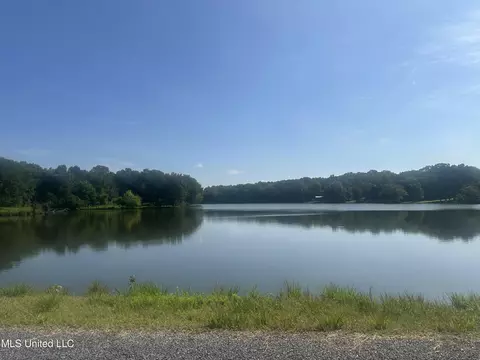 185 Longview Dr, Coldwater, MS 38618 photo 7