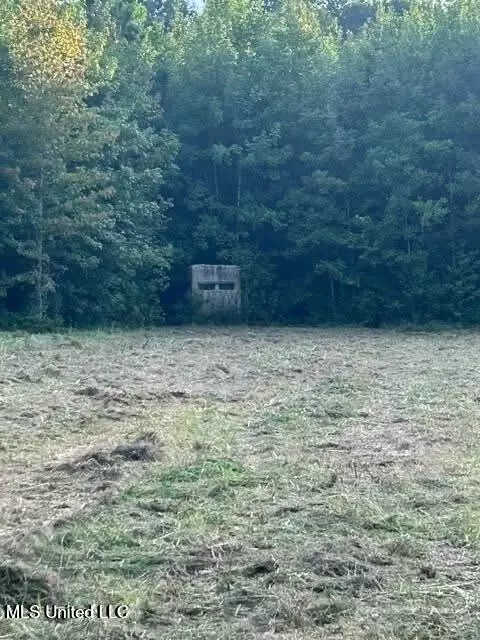 000 Ms-16, Yazoo City, MS 39194