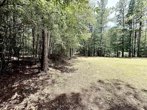 Old Jackson Road, Terry, MS 39170 photo 12