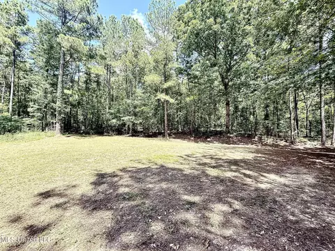 Old Jackson Road, Terry, MS 39170 photo 8
