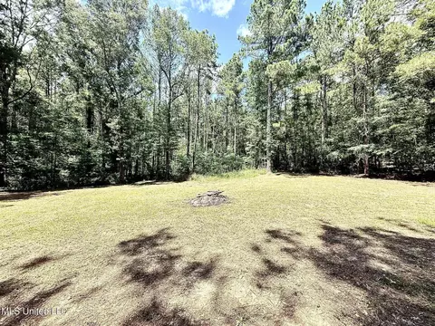 Old Jackson Road, Terry, MS 39170 photo 10