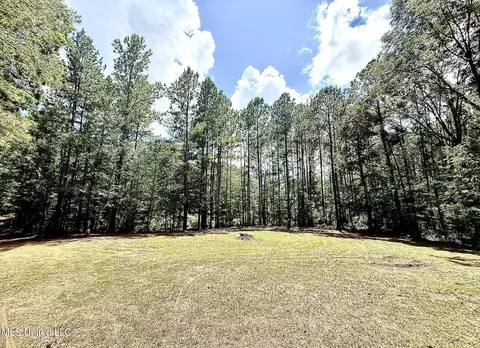 Old Jackson Road, Terry, MS 39170 photo 11