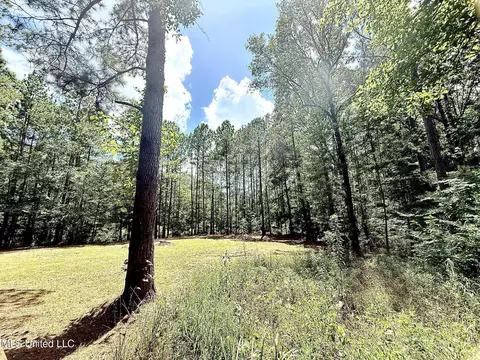 Old Jackson Road, Terry, MS 39170 photo 17