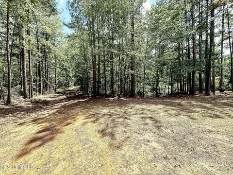 Old Jackson Road, Terry, MS 39170 photo 16