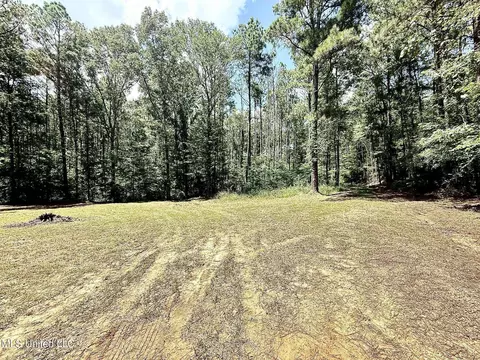 Old Jackson Road, Terry, MS 39170 photo 9