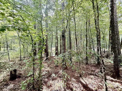 Old Jackson Road, Terry, MS 39170 photo 19