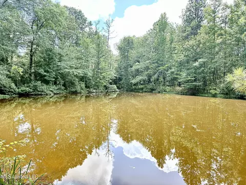 Old Jackson Road, Terry, MS 39170 photo 4