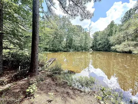 Old Jackson Road, Terry, MS 39170 photo 5