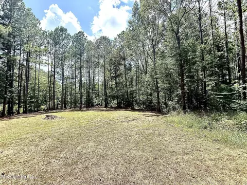 Old Jackson Road, Terry, MS 39170 photo 13