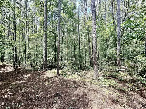 Old Jackson Road, Terry, MS 39170 photo 7