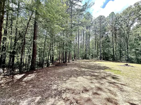 Old Jackson Road, Terry, MS 39170 photo 18