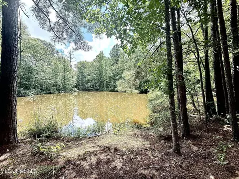Old Jackson Road, Terry, MS 39170 photo 6