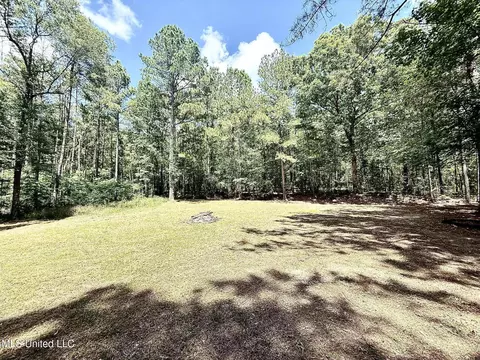 Old Jackson Road, Terry, MS 39170 photo 3