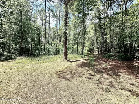Old Jackson Road, Terry, MS 39170 photo 14