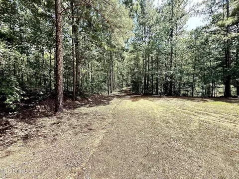 Old Jackson Road, Terry, MS 39170 photo 15