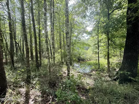 Old Jackson Road, Terry, MS 39170 photo 2