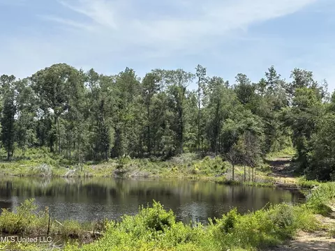 Basin Central Road, Lucedale, MS 39452 photo 2