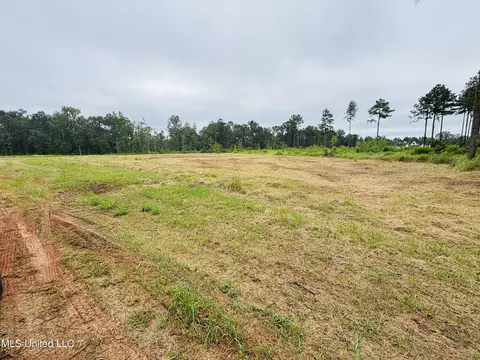 Basin Central Road, Lucedale, MS 39452 photo 3