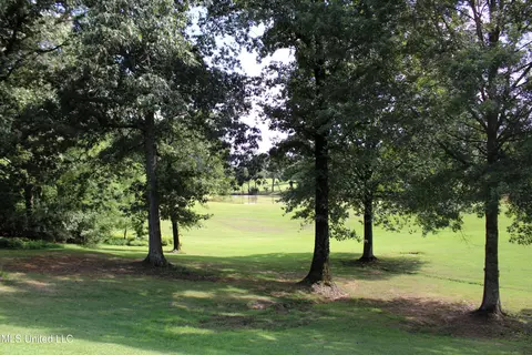 Other - 4660 Conner Dr, Hernando, MS 38632 photo 9 of 10
