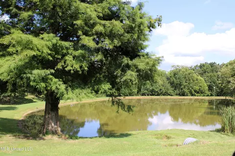 Other - 4660 Conner Dr, Hernando, MS 38632 photo 10 of 10