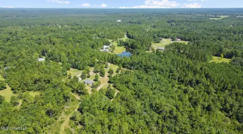 View/Area - 26710 Polktown Rd, Lucedale, MS 39452 photo 2 of 4
