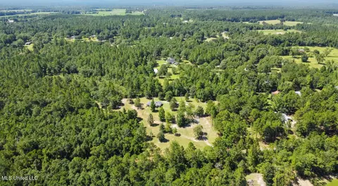 View/Area - 26710 Polktown Rd, Lucedale, MS 39452 photo 4 of 4
