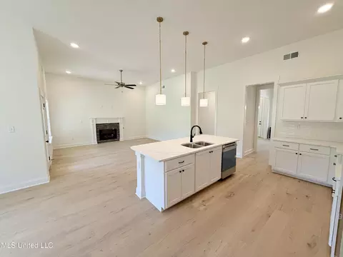 Other - 1198 Creekside Ln, Hernando, MS 38632 photo 2 of 9