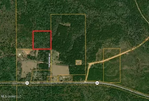 0 Tom Moore Rd, Wiggins, MS 39577 photo 2
