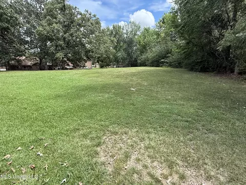 Other - 55 Oak Crest Pl, Brandon, MS 39042 photo 6 of 6