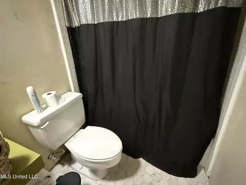 Bath - 55 Oak Crest Pl, Brandon, MS 39042 photo 1 of 1