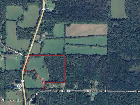 206 Clifton Hillsboro Rd, Lena, MS 39094