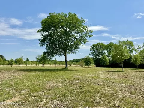 00019 Windermere Blvd, Madison, MS 39110 photo 6
