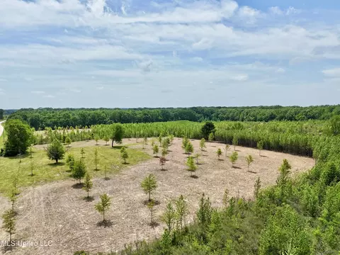 00019 Windermere Blvd, Madison, MS 39110 photo 17