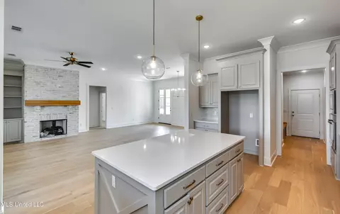 Entry Way - 241 Bronson Bnd, Flowood, MS 39232 photo 2 of 4