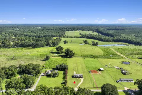 95 Pump Branch Rd, Wiggins, MS 39577 photo 2