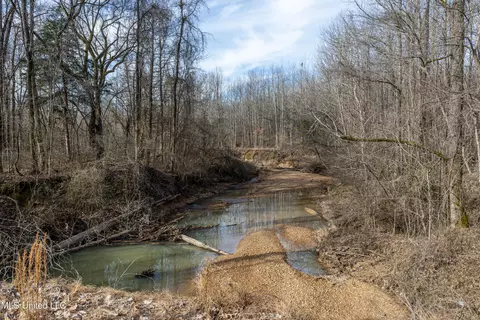 Avant Road, Crenshaw, MS 38621 photo 3