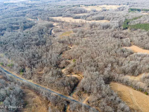 Avant Road, Crenshaw, MS 38621 photo 13