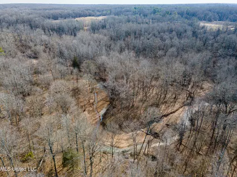 Avant Road, Crenshaw, MS 38621 photo 11