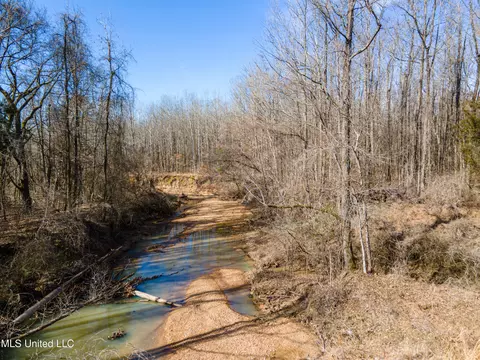 Avant Road, Crenshaw, MS 38621 photo 16