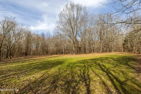 Avant Road, Crenshaw, MS 38621 photo 4