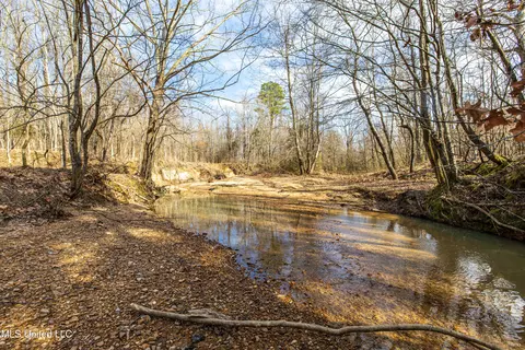 Avant Road, Crenshaw, MS 38621 photo 14