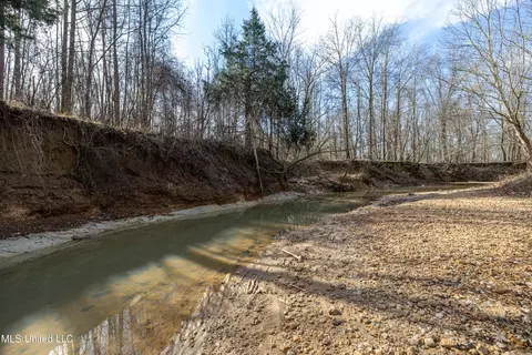 Avant Road, Crenshaw, MS 38621 photo 15