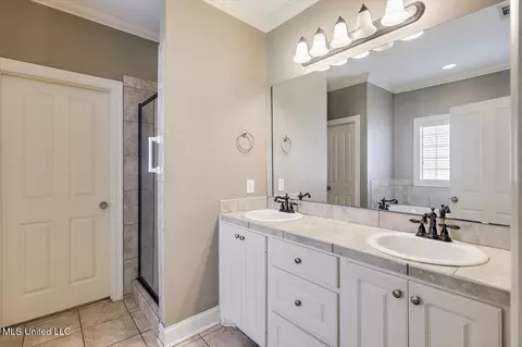 Bath - 119 Turtle Ridge Dr, Brandon, MS 39047 photo 1 of 3