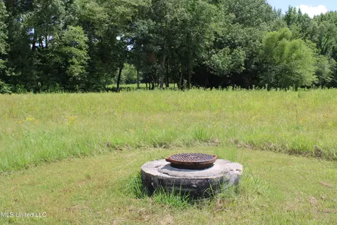 8654 Goodman Rd, Olive Branch, MS 38654 photo 18