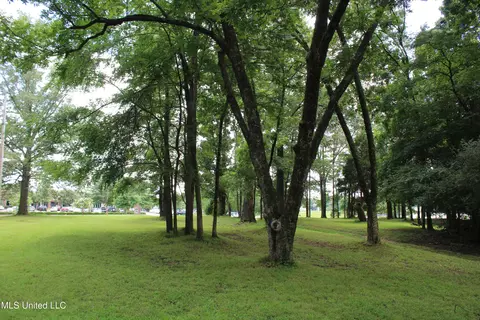 8654 Goodman Rd, Olive Branch, MS 38654 photo 6