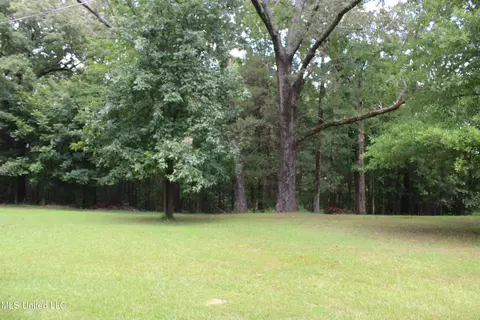 8654 Goodman Rd, Olive Branch, MS 38654 photo 5