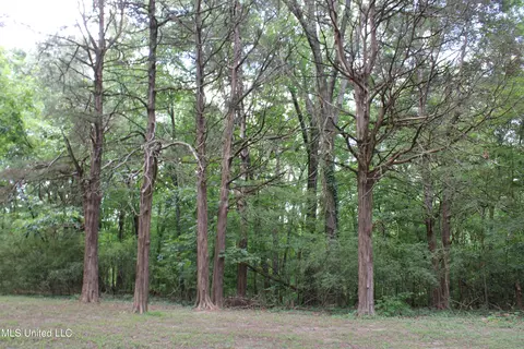 8654 Goodman Rd, Olive Branch, MS 38654 photo 7