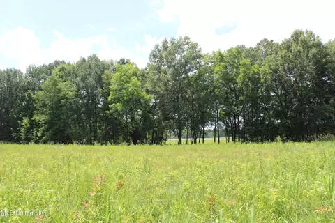 8654 Goodman Rd, Olive Branch, MS 38654 photo 16